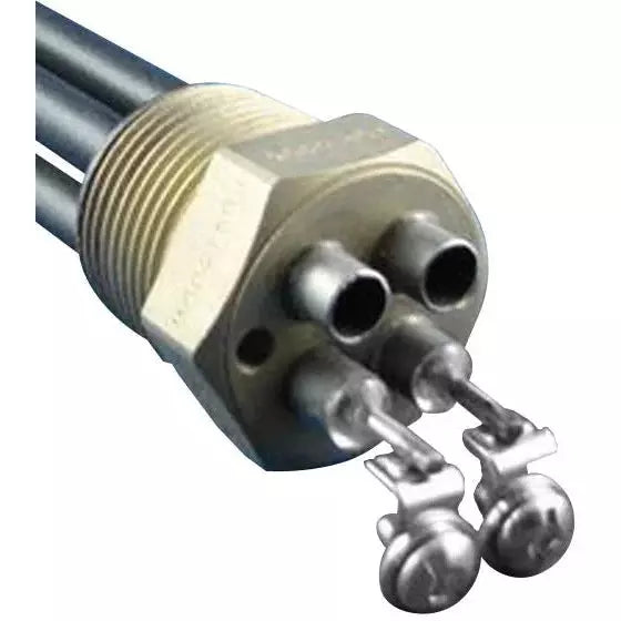 Élément chauffant à double puits fileté 4kw 1 "220v 14,5" de long