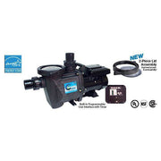 Waterway Econo-Flo VSA Pool Pump - Pool Store Canada