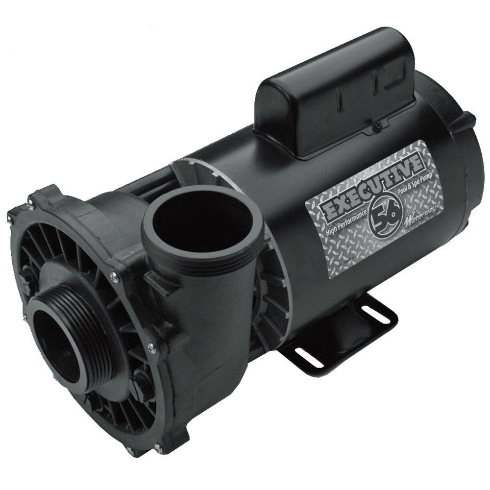 ムク　sar Waterway Executive 2HP 230v hot tub pump | Pool Store Canada